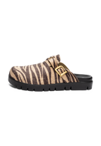 zebra