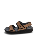 black/brown