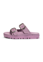 lavanda