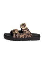 leopard