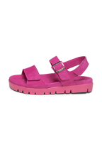 rosa