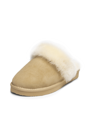BG_50