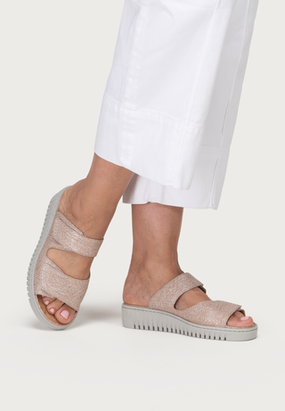 PK_56