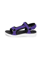 viola