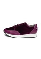 aubergine