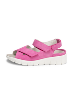 roze