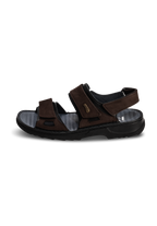 black/dark brown
