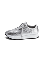 zilver