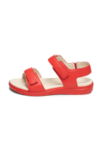 rot