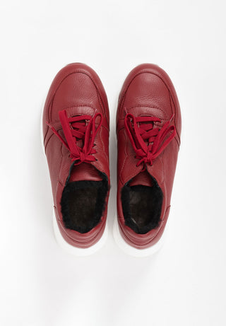 CRB_54